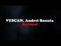 VESCAN, Andrei Banuta - Old Friend 🔊 (slowed + reverb)