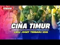 Download Lagu CINA TIMUR - Lagu Joget Viral - REMIX TERBARU 2025