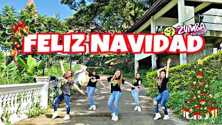 Download FELIZ NAVIDAD | CHRISTMAS REMIX | ZUMBA DANCEFITNESS | ZUMBAZISTERS | ANN TEOFILO ZZ ANN MP3