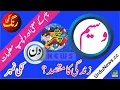 Waseem Name Meaning in Urdu and Lucky Number | Islamic Boys Name | Dr Qasim Malik | Urdu News
