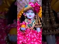 Download Lagu Kannukkul Pothi Vaipen #Shorts #shortfeed #trending #short #youtubeshorts #youtube #status #song #yt