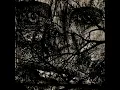 Yves Tumor - Jackie (Sewerslvt Remake) (reupload)