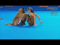 Download Lagu FCI Dog dance World Championship 2016 – Freestyle final  - Lusy Imbergerova and Deril (Italy)
