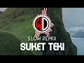 Download Lagu LAGU PARTY VIRAL - SUKET TEKI