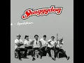 Lagu terbaru shaggydog