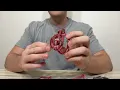 Male Chastity Cage Lightweight Plastic Cock Cage with 4 Sizes Rings and Chastity Belts Review