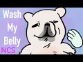 Cleaning your Pibble