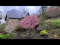 Easter 2020 Church of the Redeemer Woodfin NC
