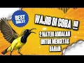 Download Lagu MASTERAN SOGON 2 MATERI TEMBAKAN KORLAP BETINA DAN KUNTI #sogon #sogongacor #sogokontong 