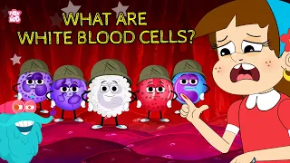 What Are White Blood Cells? 🩸 | The Body’s Tiny Defenders Explained | Learn with Dr. Binocs