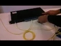 CWDM BiDi setup