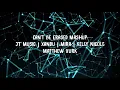 Bendy Can't Be Erased Mashup | JT Music, Xandu, Mira, Kelly Nicole | Mossy