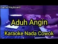 Download Lagu Aduh Angin Karaoke Nada Cowok