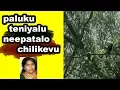 Download Lagu palukuteniyaluneepatalo chilikavu