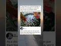 Don’t look at sound😱🤩 #funny #memes