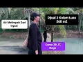 Download Lagu Dijual 3 Kolam Air Melimpah View Persawahan, Luas 560 m2. Rp 30 JT, Nego 