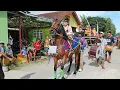 Download Lagu Kuda Joget Wajasari Adimulyo Kebumen - Horse Dence - Kuda Menari