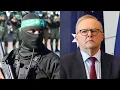 Download Lagu Politicians and pro-Palestine protesters have ‘effectively’ done Hamas’ ‘bidding’