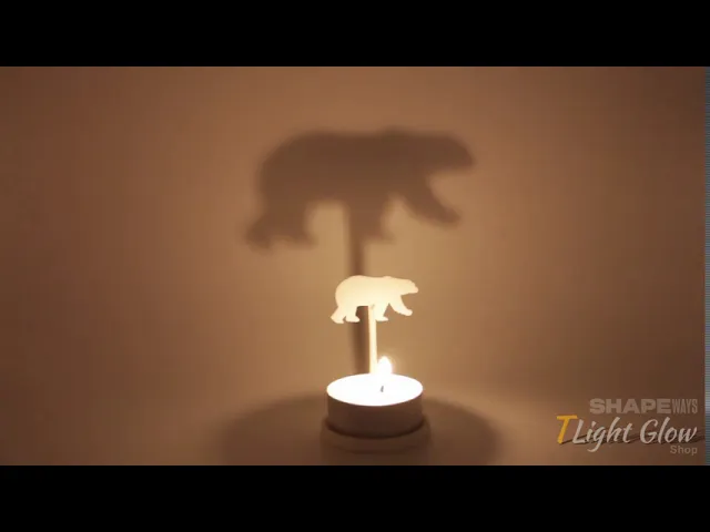 Animal Polar Bear video thumbnail