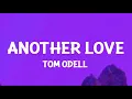 Download Lagu Another Love ~ Tom Odell (Clean Lyrics)
