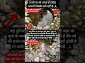 Download Lagu कुंड में मां दुर्गा का स्वरूप दिखता है अनदेखा न करें #durgamaa #durgapuja #durga