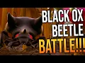 BATTLING BLACK OX BEETLES GETTING TIER 3 HAMMER - Grounded Coop