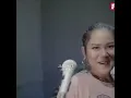 Download Lagu Tarik sis semongko, story anggun pramudita