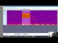 Ultrasonic Vocalization in Audacity - Spectrogram Playback