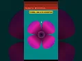 How to design a flower using HTML and CSS