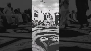 زواج السادة آل الهدار 