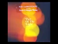 RAY LaMONTAGNE  -  Part Of The Light (2018) / Such A Simple Thing