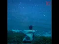 ดาวหางฮัลเลย์ - fellow fellow