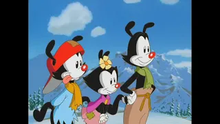 Wakko s Wish - Avalanche Scene