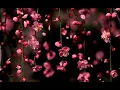 Flower gif