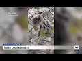 Investigation for tiger incident at Naples preserve