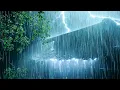 Download Lagu Listening in 3 Minutes to Fall Asleep Fast | Strong Rain \u0026 Heavy Thunder on Old Roof of Farmhouse