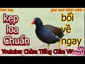Download Lagu Tiếng chim trích ré chuẩn nhất hiện nay, bổi về đá banh loa!!