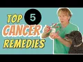 Download Lagu Cancer in Dogs and Cats: Top 5 Natural Remedies