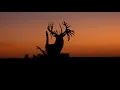 Respect the Game Ep 2 The Story of the World-Record Whitetail