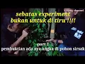 Download Lagu pembuktian angka di pohon sirsak #mitosataufakta#experiment#pembuktian#aujangchannel