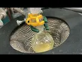 FA24 C343 Esterification Lab