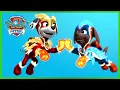 Download Lagu Pups Save Penguins and More Season 6 Rescues! | PAW Patrol | Cartoons for Kids Compilation