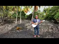 "Naʻaliʻi" (MUSIC VIDEO) from The Wild Hawaiian Album by Henry Kapono
