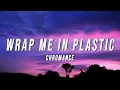 Download Lagu Wrap Me In Plastic (TikTok Remix) [Lyrics]