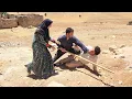 Download Lagu Raham's revenge on Umm al-Banin: Nemat's resistance against evil