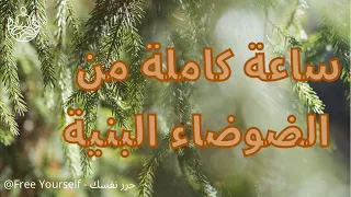 ساعة كاملة من الضوضاء البنية للدراسة التركيز صفاء الذهن الاسترخاء والنوم بدون موسيقى 