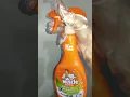Lagu Mr.muscle for molds and mildrew cleaner #molds #cleanwithme