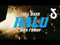 Download Lagu DJ HALU  VIRAL TIKTOK‼️ Rifa Fvnky  REMIX FULL BASS Nwrmxx