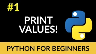 Python Beginner Tutorial - Let s Print