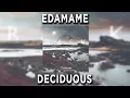 Edamame - Deciduous